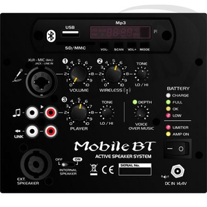 LDM Mobile Voice D216 + mikrofon nagłowny x2 + mikrofon Prodipe TT1 + kabel zestaw pielgrzymkowy zestaw nagłośnieniowy