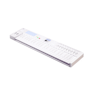 Arturia KeyLAB Essential 49 mk3 Alpine kontroler