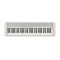 Casio Casiotone CT-S1 WE keyboard