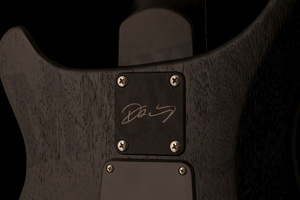PRS DW CE 24 “Floyd”  gitara elektryczna