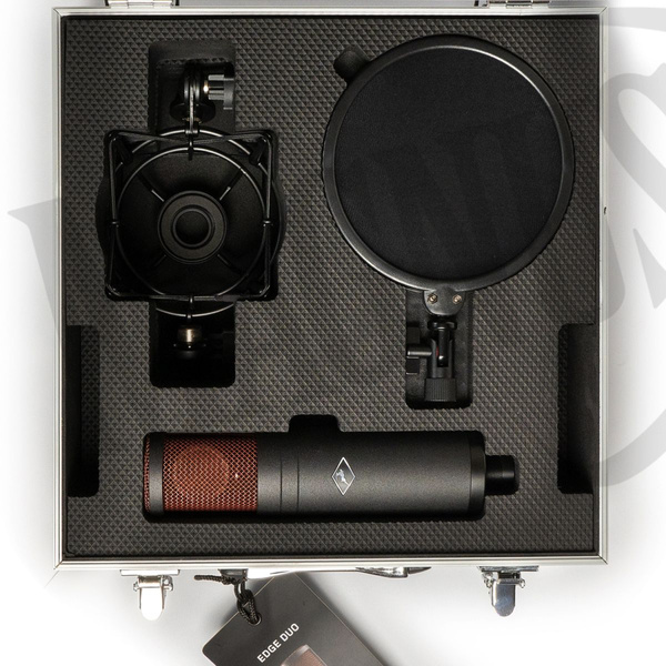 Antelope Audio Edg Duo mikrofon