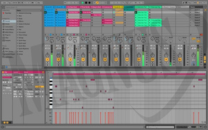Ableton Upgrade z Intro do Live 10 Standard (BOX) oprogramowanie studyjne