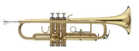 Stagg WS-TR215S trąbka