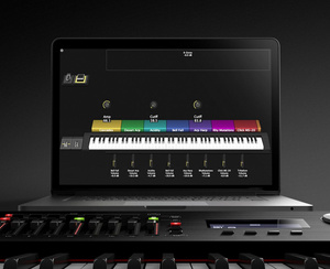 Roland RD-2000 EX - B-stock stage piano