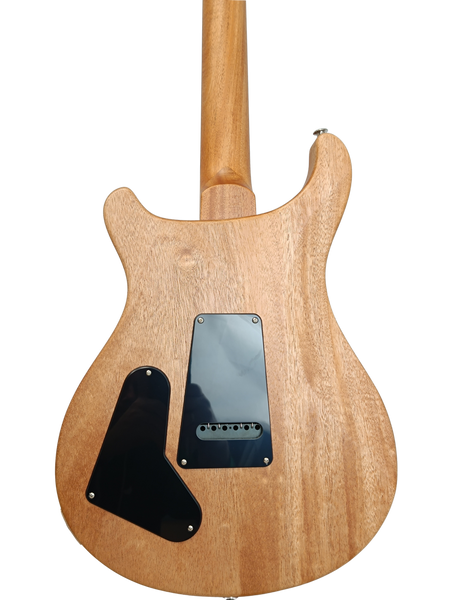 PRS S2 Special Semi-Hollow Reclaimed Limited Edition - gitara elektryczna USA - wersja 1