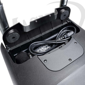 LD Systems ROADBUDDY 10 Zasilana z akumulatorów kolumna Bluetooth z mikserem i mikrofonem bezprzewodowym