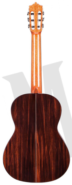 Martinez MC-58C gitara klasyczna