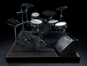 Roland PM-200
