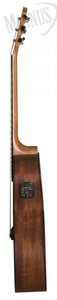 Baton Rouge AR11C/ACE-L gitara elektroakustyczna