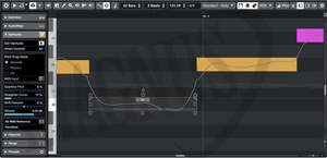 Steinberg Cubase Pro 11 oprogramowanie studyjne