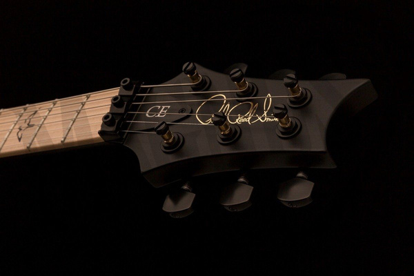 PRS DW CE 24 “Floyd”  gitara elektryczna