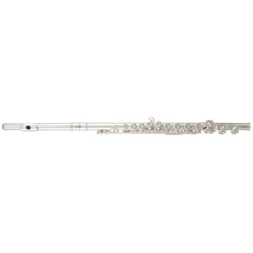 Roy Benson FL-402R flet