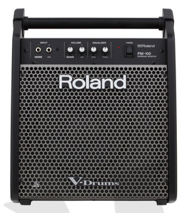 Roland PM-100