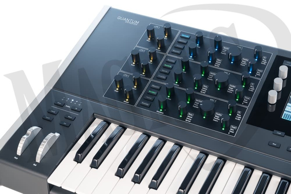 Waldorf Quantum syntezator