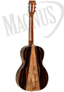 Tanglewood TWJ-PS gitara akustyczna