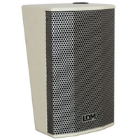 LDM Cinema-210X głośnik instalacyjny