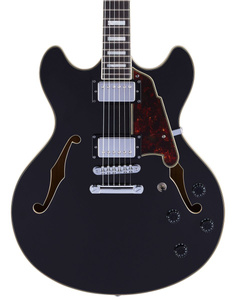 D'angelico Premier DC Black Flake V2 gitara elektryczna