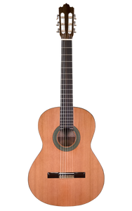 Prodipe Guitars Recital 300 4/4 - gitara klasyczna