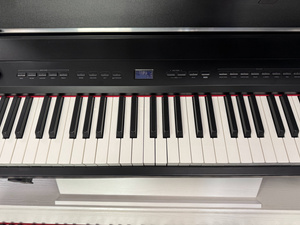Dynatone DPP-510 pianino cyfrowe- ekspozycja