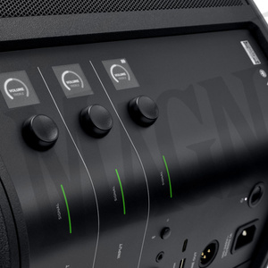 Bose S1 Pro+ wireless PA system  kolumna
