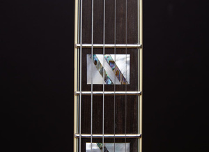 D'Angelico Excel SS Black Dog gitara elektryczna