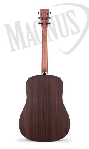 Martin DX1RAE gitara elektroakustyczna