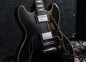 D'angelico Premier DC Black Flake V2 gitara elektryczna