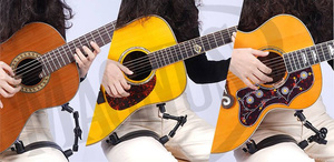 Guitto GGR-01 - podgitarnik