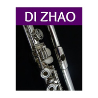 Di Zhao MINIDI  flet