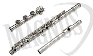 Pearl Flutes Quantz 505RBE flet