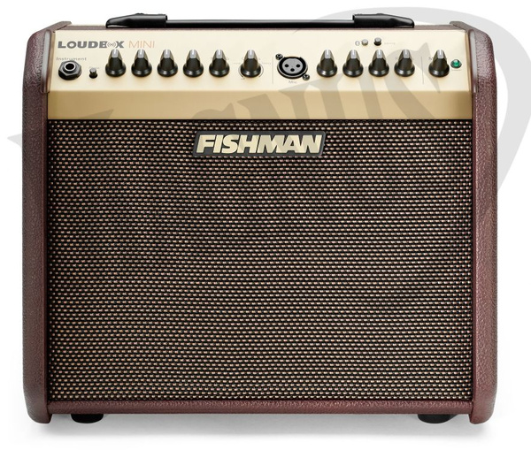Fishman Loudbox Mini Bluetooth combo do gitary akustycznej