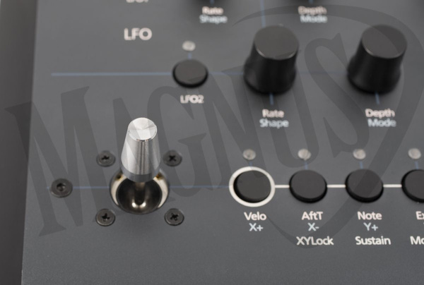 Modal Argon8 syntezator analogowy