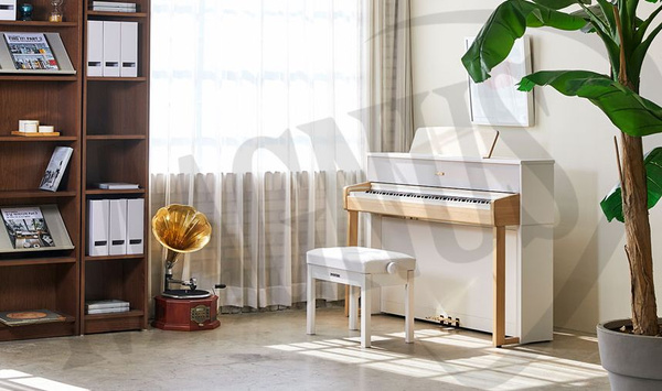 Dynatone DPR - 4160 N