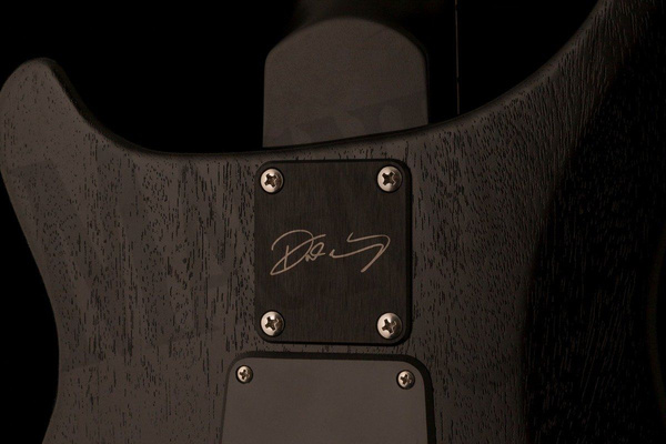 PRS DW CE 24 “Floyd”  gitara elektryczna