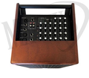 Prodipe Natural6 Cherrywood  - combo akustyczne 140W