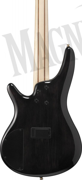 Ibanez SR 5-Str Tropical Seafloor Burst gitara basowa