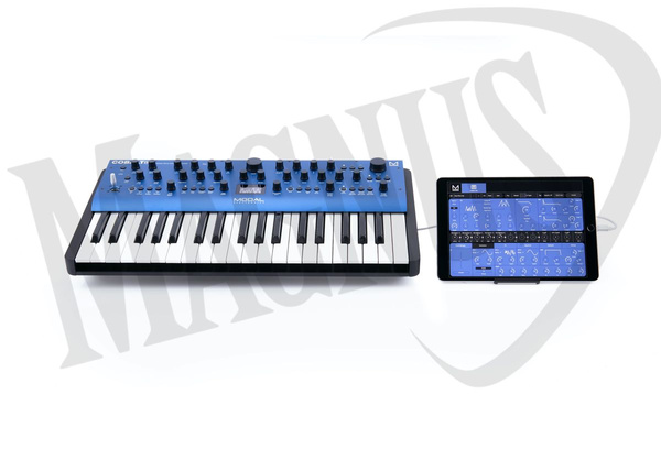 Modal Cobalt 8 syntezator analogowy
