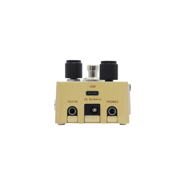 Hotone Omni AC - efekt gitarowy