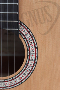 Prodipe Guitars Primera 3/4 gitara klasyczna 3/4