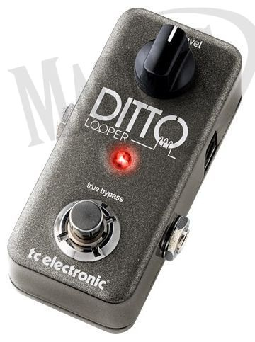 T.C. Electronic Ditto Looper efekt gitarowy
