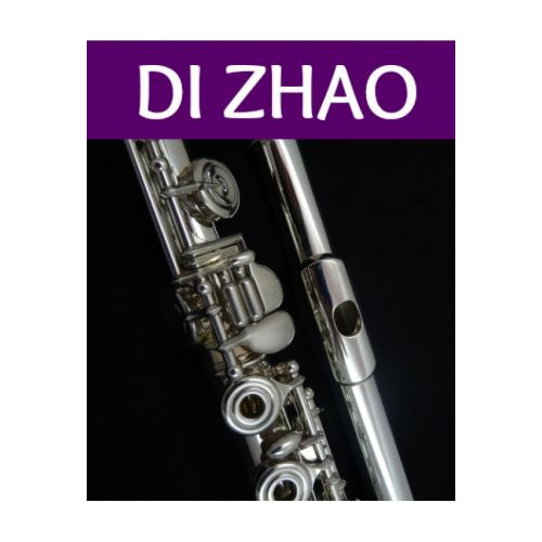Di Zhao MINIDI  flet