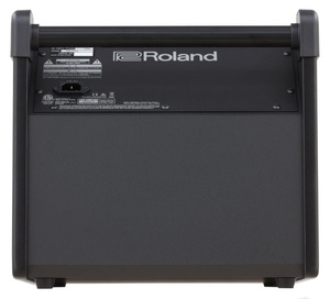 Roland PM-100