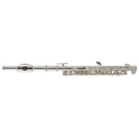 Stagg WS-PF211S flet