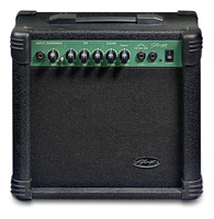 Stagg 15 GA DR Combo
