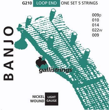 Galli G 210 Struny